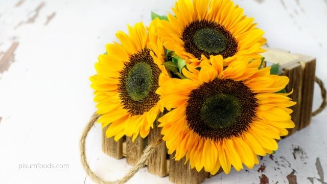 Benefits of Sunflower Oil
