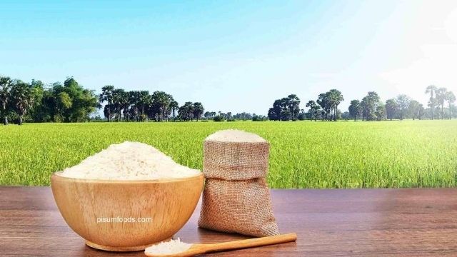 Requirements for Importing Rice