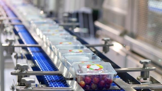 Role of Technology in Food Industry